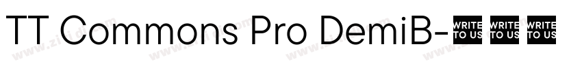 TT Commons Pro DemiB字体转换
